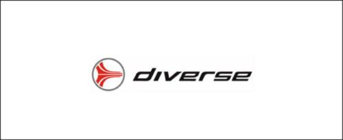 diverse-400x278